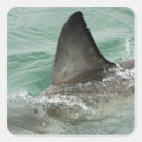 Recherche de en danger autocollants Nature