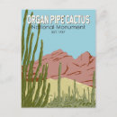 Recherche de pipe cartes postales Cactus