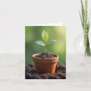 Recherche de jeune plante vœux cartes Pour tous