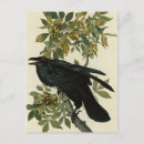Recherche de ravenne cartes postales Illustration