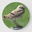 Recherche de rapace horloges Hibou