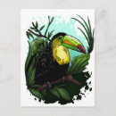 Recherche de toucans cartes postales Perroquet