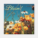 Recherche de marguerites magnets Fleurs
