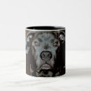 Recherche de bouledogue américain tasses Pitbull
