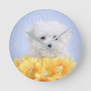 Recherche de maltais horloges Mignon