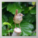 Recherche de insecte observé Mignon
