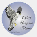 Recherche de fauconnerie autocollants Pérégrine