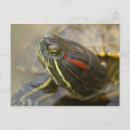 Recherche de glissière cartes postales Tortue