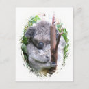 Recherche de caresse invitations Animal
