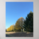 Recherche de rangement posters Extérieur