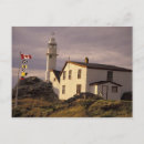 Recherche de homards cartes postales Côte