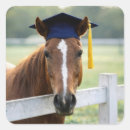 Recherche de pompons autocollants Diplômé