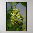 Recherche de gaffez posters Abeille