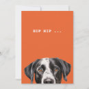 Recherche de chien blanc invitations Animal