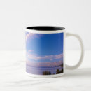 Recherche de polynésie française tasses Palmier