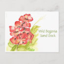 Recherche de bégonias cartes postales Aquarelle