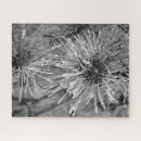 Recherche de givre puzzles Pour elle