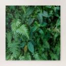 Recherche de fougère puzzles Forêt