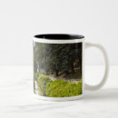 Recherche de villa tasses Walter bibikow
