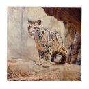 Recherche de faune carreaux Jungle