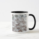 Recherche de pays basque tasses Province