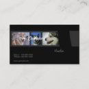 Recherche de chien de traîneau cartes visite Malamute d'alaska