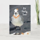 Recherche de mouettes invitations Oiseau