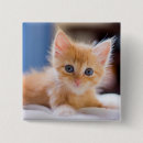 Recherche de yeux carrés badges Animal