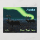 Recherche de toundra cartes postales Nature