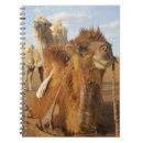 Recherche de camelus Animal