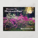 Recherche de haute montagne cartes postales Fleurs