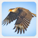 Recherche de aigle vol autocollants Oiseau