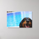 Recherche de langue impressions sur toile Partie du corps animale