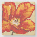 Recherche de tulipe dessous de verres Floral