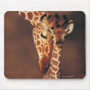 Recherche de tête girafe tapis souris Plan rapproché