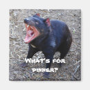 Recherche de marsupiaux magnets Australie