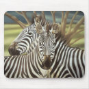 Recherche de zebre tapis souris L'afrique