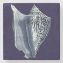 Recherche de écosse dessous de verres Coquillages