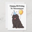 Recherche de chien heureux invitations Invités