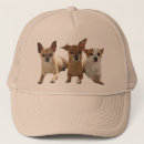 Recherche de chiwawa casquettes Chien