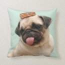 Recherche de carlin mignon coussins Langue