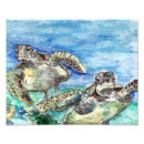 Recherche de tortue posters Imprimer