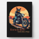 Recherche de moto plaques Chien
