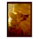 Recherche de poème de sympathie vœux cartes Désolé pour votre perte