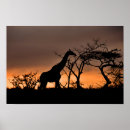 Recherche de girafe art Africain