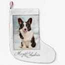 Recherche de corgi chaussette de noël Vacances