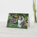 Recherche de étagère vœux cartes Chien