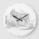 Recherche de ânes horloges Illustration