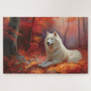 Recherche de samoyed puzzles Samoyède