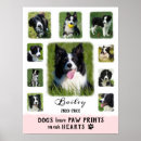 Recherche de patte de chien posters Dogs